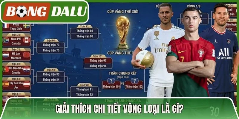 Giải thích chi tiết vòng loại là gì?