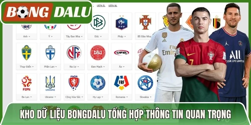 Kho dữ liệu Bongdalu tổng hợp thông tin quan trọng